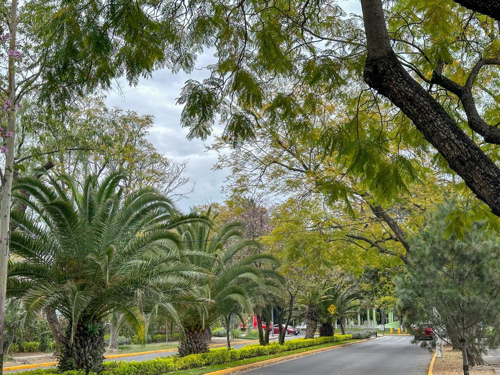 Apartamento Estudio 4 / en Corazón de Chapalita Guadalajara Exterior foto